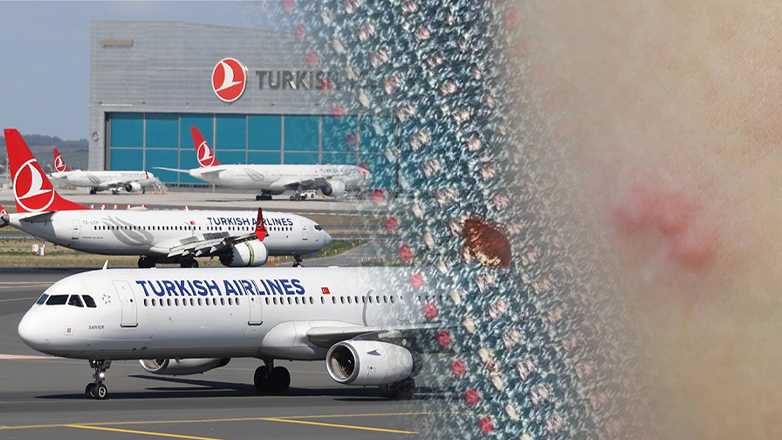 Σάλος με κοριούς στα αεροσκάφη της «Turkish Airlines»