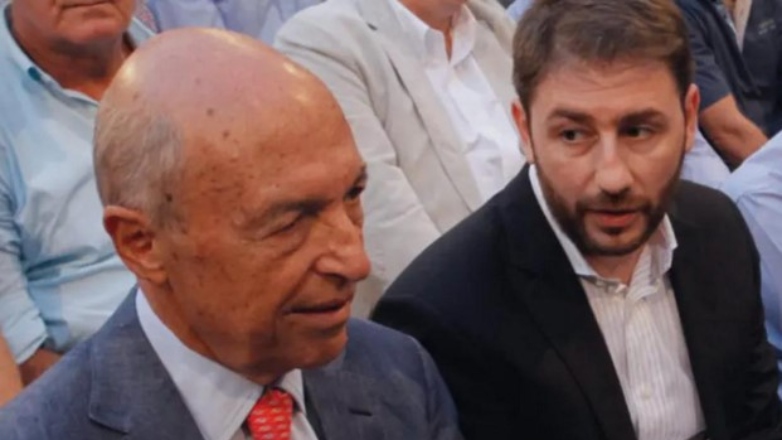 Συλλυπητήρια Νίκου Ανδρουλάκη στην Δάφνη Σημίτη