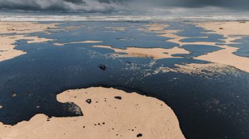 Η τεράστια οικολογική καταστροφή στη Μαύρη Θάλασσα συνεχίζεται επί τρεις εβδομάδες