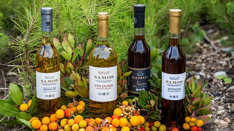 Τα ολόχρυσα συνεταιριστικά Μοσχάτα Σάμου αναδεικνύουν διαχρονικά το νησί