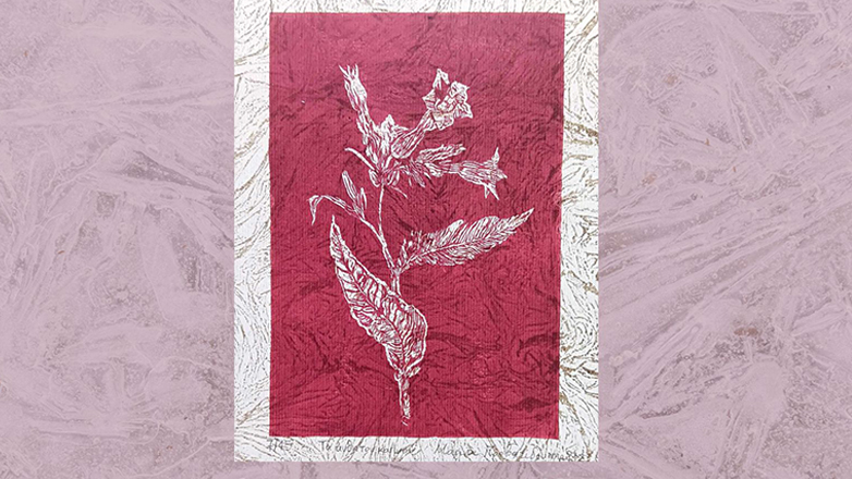 Θεσσαλονίκη: Τα άνθη του καπνού εμπνέουν εικαστικό και ποιητές, σ’ ένα θεματικό λεύκωμα