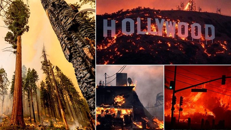 Γιατί καίγεται τόσο συχνά η Καλιφόρνια από Mega – Fires;