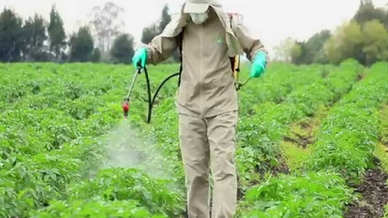 Ο καρκίνος βρίσκεται κάτω από τα πόδια μας, σύμφωνα με μελέτη του Πανεπιστημίου Πατρών