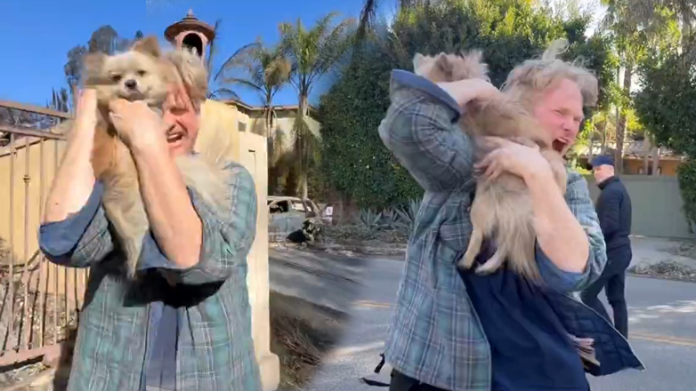 Πυρόπληκτος βρίσκει σώο τον σκύλο του μετά από 5 νύχτες