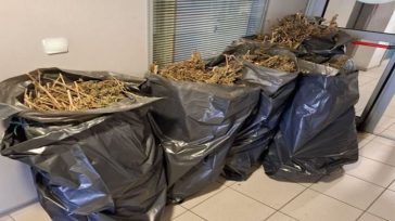 Tύρναβος: Είχε 37 κιλά κάνναβης κρυμμένα σε αποθήκη