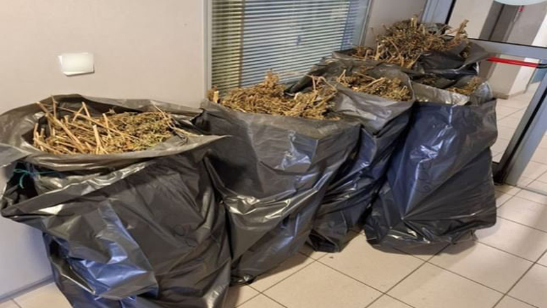 Tύρναβος: Είχε 37 κιλά κάνναβης κρυμμένα σε αποθήκη