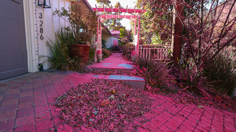 Το Λος Άντζελες έγινε…ροζ