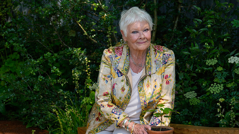 Η Τζούντι Ντεντς μιλά για την ασθένειά της: «Δεν μπορώ να βγω μόνη μου»