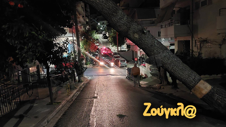Επικίνδυνη πτώση δέντρου σε μπαλκόνι πολυκατοικίας στα Ιλίσια