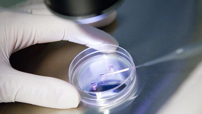 Παράταση προφυλάκισης για τον 75χρονο γυναικολόγο του κυκλώματος εμπορίου γενετικού υλικού