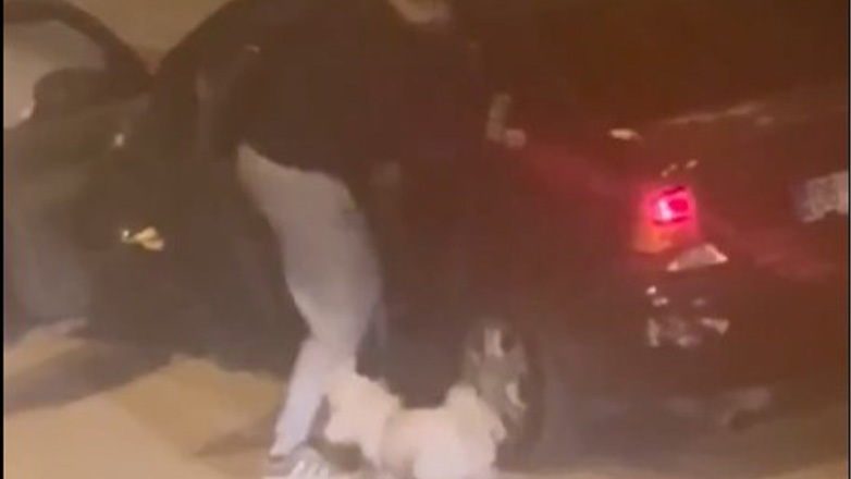 Τουρκία: Σκύλος απέτρεψε απαγωγή 16χρονης