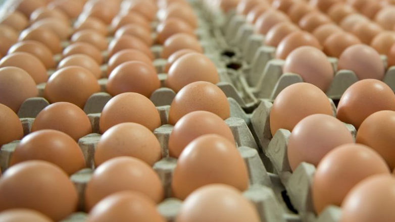 ΗΠΑ: Έκλεψαν 100.000… βιολογικά αυγά