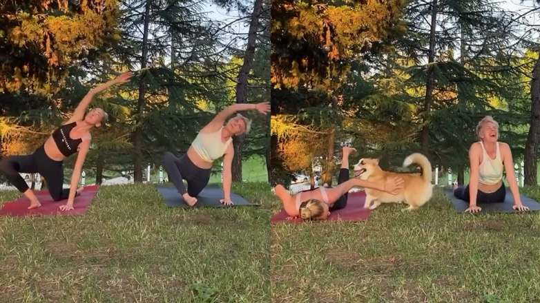 Άνδρας προσπαθεί να πιάσει τον σκύλο του γύρω από δύο γυναίκες που κάνουν γιόγκα