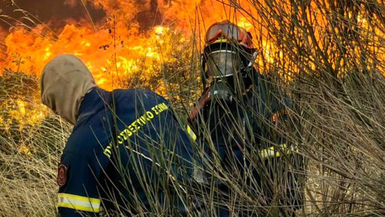Πρέβεζα: Πρόστιμο 1.690 ευρώ σε γυναίκα για πρόκληση φωτιάς