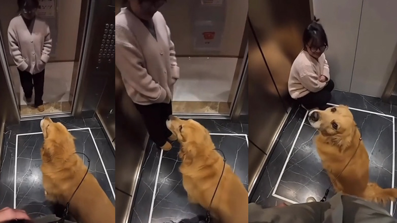 Κάτσε κάτω! Δεν εννοούσα εσένα!