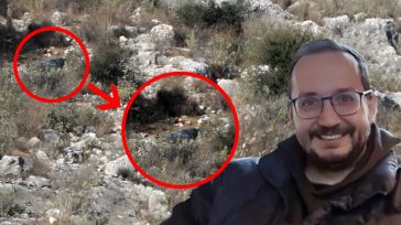 Τα γυαλιά και τα ρούχα ανήκουν στον Βασίλη Καλογήρου, γιο της Εισαγγελέως