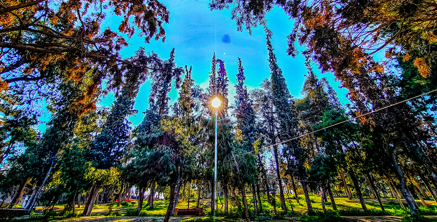 Ο ήλιος επέστρεψε