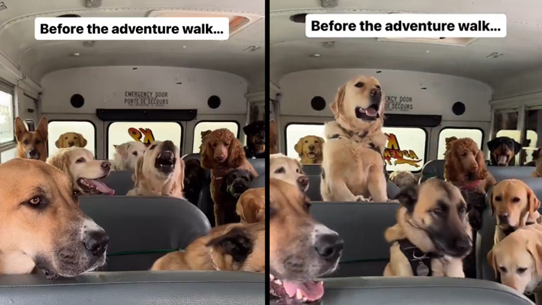 Πριν και μετά τη βόλτα