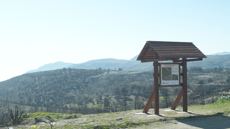 HELLENiQ ENERGY: Έμπρακτη φροντίδα για τη φύση με περιβαλλοντική διάκριση