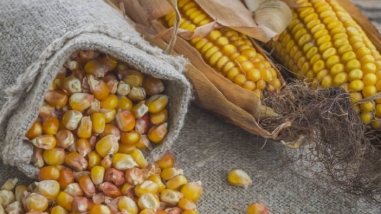 Νέους δασμούς επιβάλλει η Κίνα στα γεωργικά προϊόντα των ΗΠΑ Νέους δασμούς επιβάλλει η Κίνα στα γεωργικά προϊόντα των ΗΠΑ