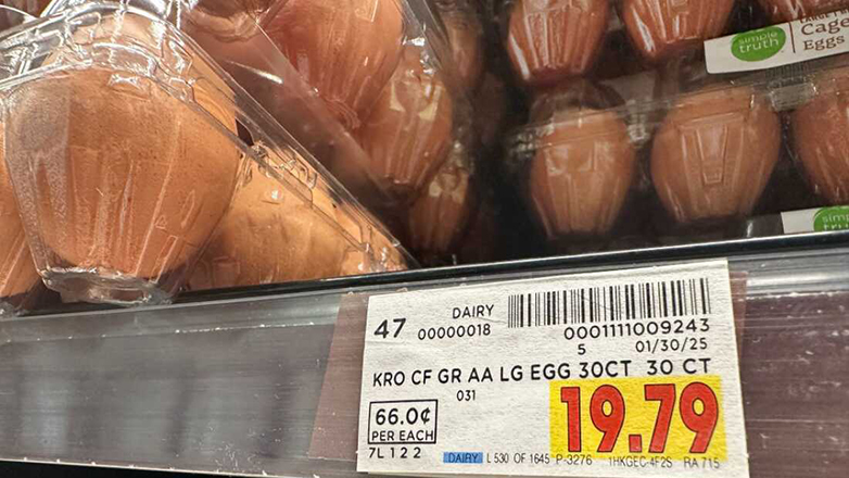 Ξέμειναν από… αυγά στις ΗΠΑ – «Βάλτε κότες στην πίσω αυλή» προτρέπει η υπουργός Γεωργίας