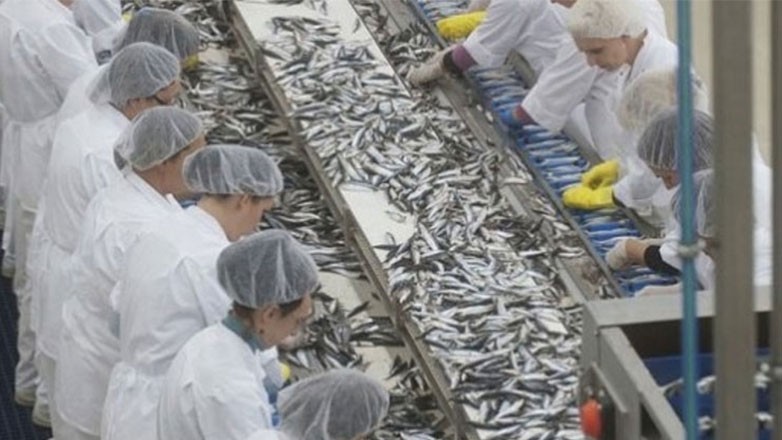 Αύξηση 2% σημείωσε η βιομηχανική παραγωγή στη χώρα τον Ιανουάριο