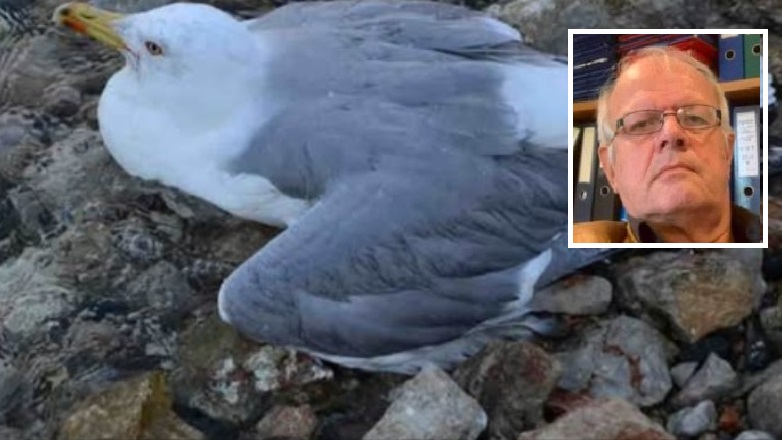 Ατύχημα για τον σεισμολόγο Άκη Τσελέντη