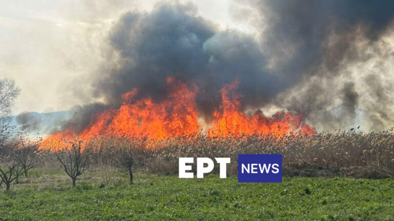Μάχη με τις φλόγες στην Καστοριά