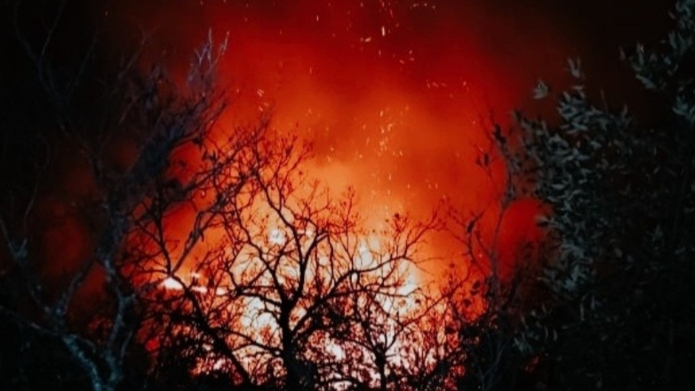 Τρεις εστίες φωτιάς απείλησαν το πευκόδασος στα Καμένα Βούρλα