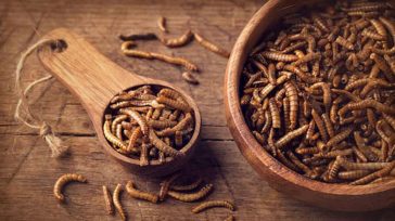 Ποια τρόφιμα περιέχουν σκόνη σκουληκιών