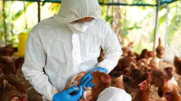 Δεύτερος θάνατος στις ΗΠΑ φέτος εξαιτίας της γρίπης των πτηνών