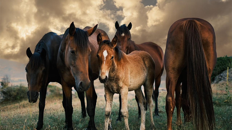 Το 47 Circles παρουσιάζει την αναδρομική και ανατρεπτική ατομική έκθεση «Unveiled: The Fine Art Lens of NikZik»