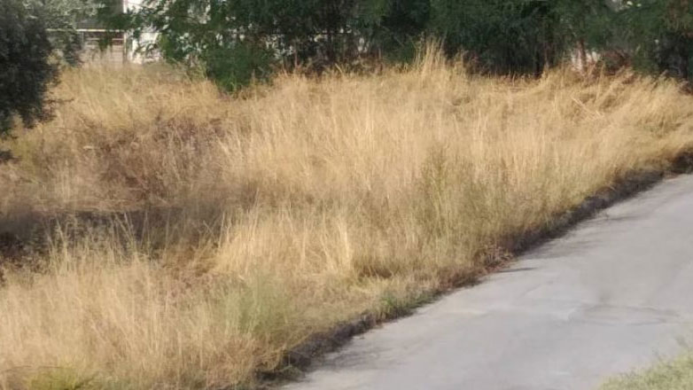 Η ΠΟΜΙΔΑ για τους καθαρισμούς οικοπέδων