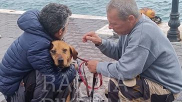Συγκινητική επιχείρηση διάσωσης σκύλου στο λιμάνι της Ραφήνας