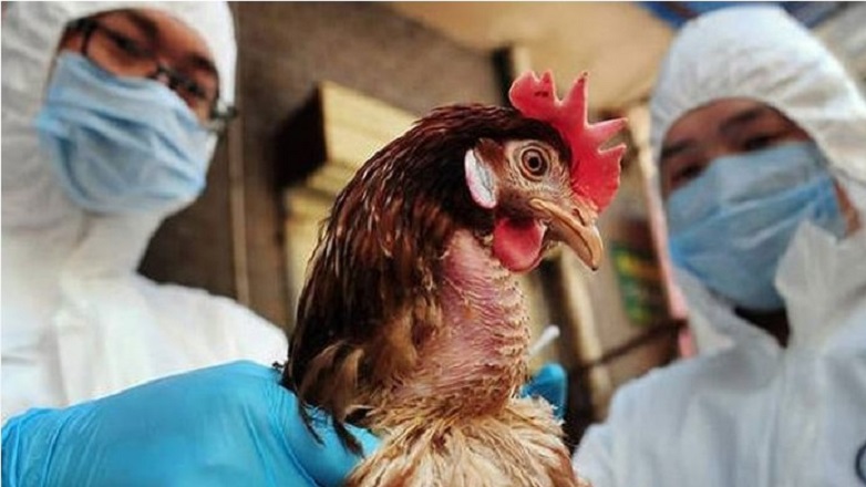 Μεξικό: Τρίχρονο κορίτσι το πρώτο κρούσμα της γρίπης των πτηνών