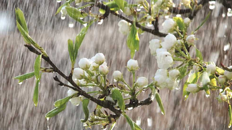 Καιρός: Φθινοπωρινές πινελιές σε ανοιξιάτικο καμβά