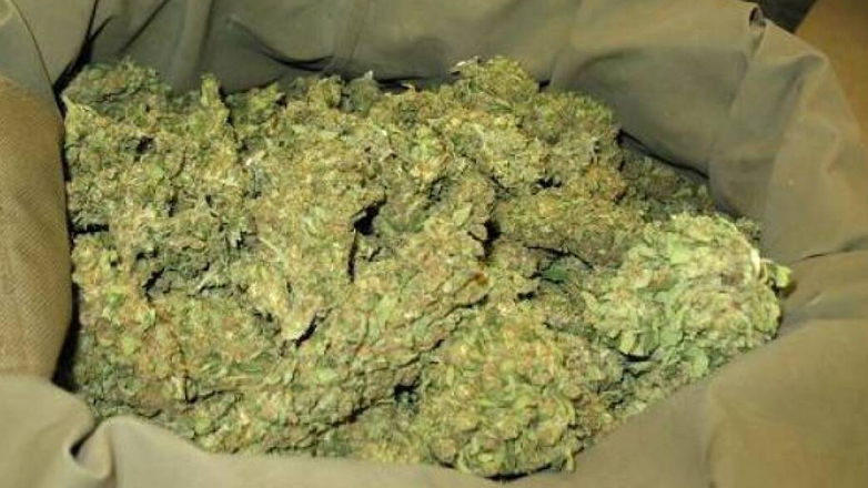 Μαγνησία: 99,5 κιλά κάνναβης στα «σωθικά» φορτηγού