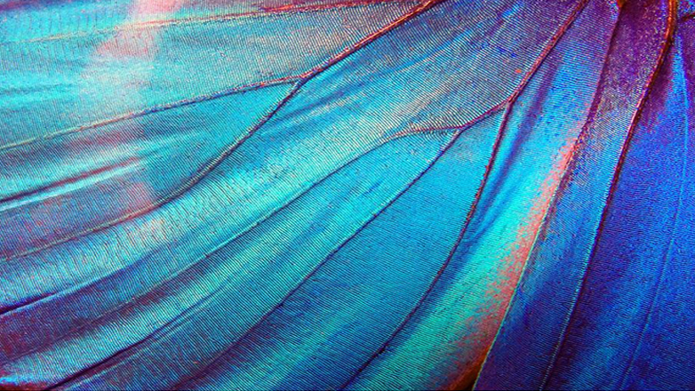 Νέο άλμπουμ για τους Domenica Νέο άλμπουμ για τους Domenica