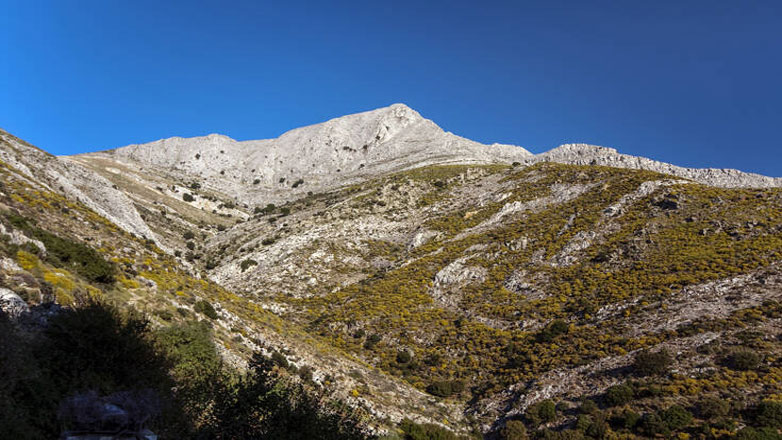Νάξος: 62χρονος εντοπίστηκε νεκρός μετά από πτώση σε χαράδρα