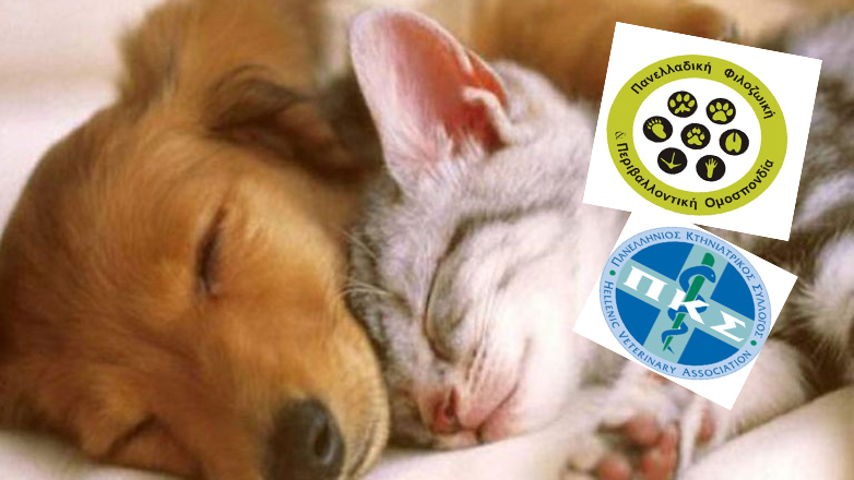 Συνάντηση του Πανελλήνιου Κτηνιατρικού Συλλόγου με την ΠΦΠΟ με θέμα τη διαχείριση των αδέσποτων ζώων