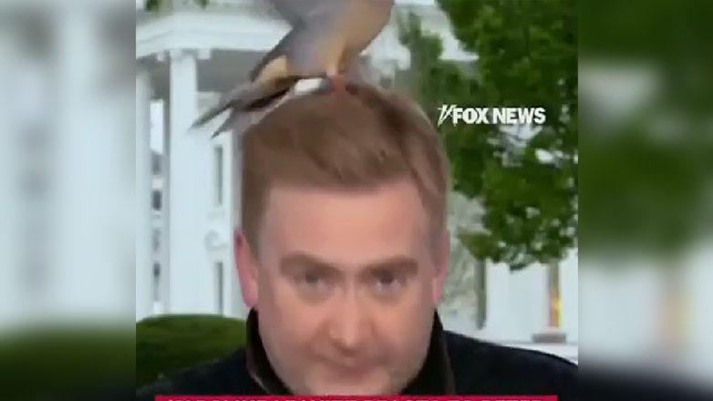 Ποντίκι έκανε βόλτα στην Αίθουσα Ενημερώσεων του Λευκού Οίκου