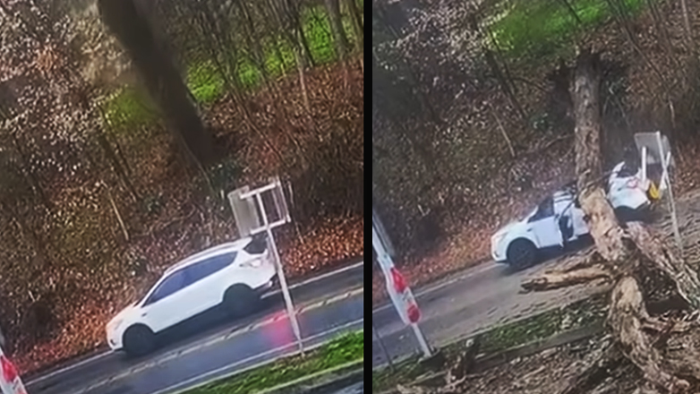 Όταν ζωή και θάνατος, απέχουν μόλις λίγα εκατοστά (Βίντεο)