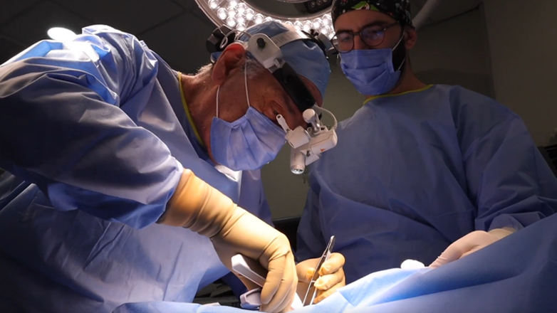 Χειρουργεία ζώων από την υπέροχη ομάδα του κτηνίατρου Μιχάλη Φλαράκου