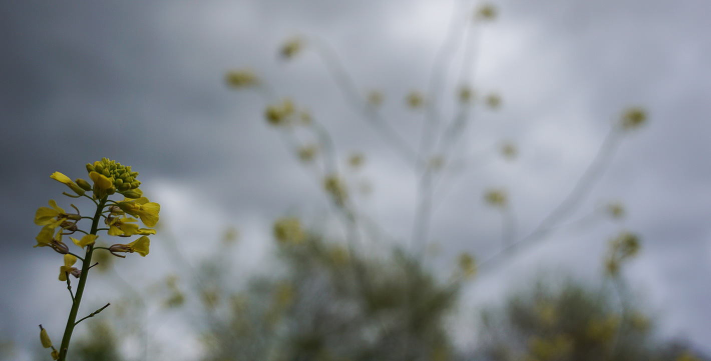 Η άνοιξη συναντάει τον χειμώνα