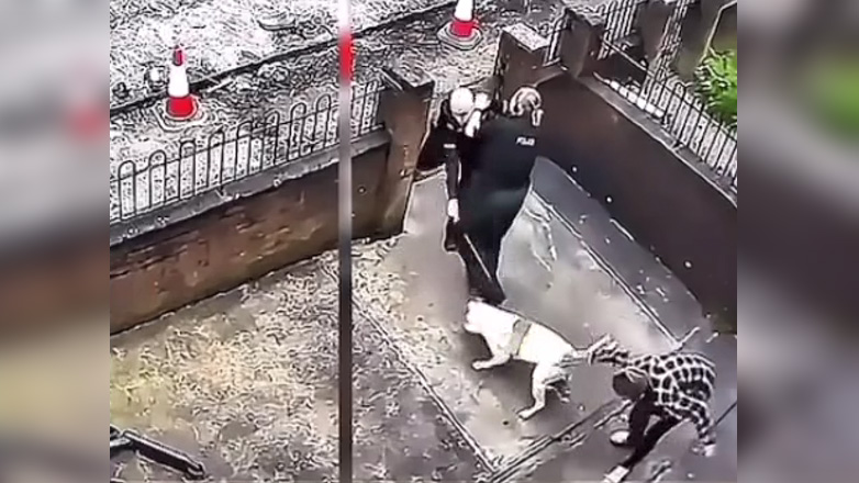 Απίστευτο βίντεο με σκύλο να δαγκώνει αστυνομικό