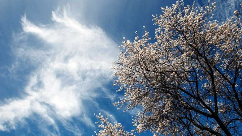 Αίθριος καιρός με θερμοκρασία στους 24 βαθμούς