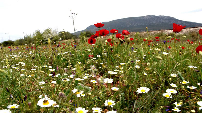 Καλοκαιρία με υψηλές θερμοκρασίες το Μ. Σάββατο και την Κυριακή του Πάσχα