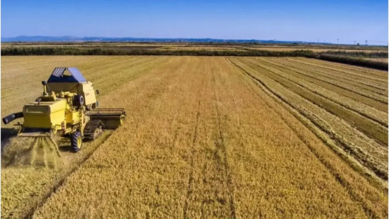 Χαρίζονται αγροτεμάχια: Η αγγελία που έγινε viral στην Κρήτη