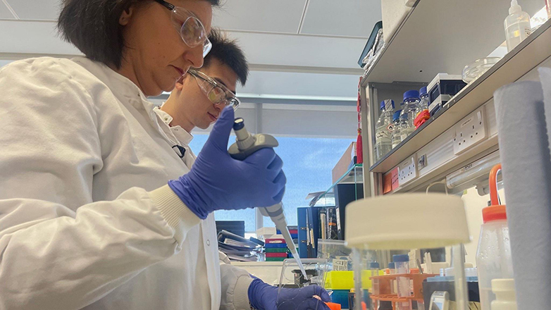 Δόντια αναπτυγμένα στο εργαστήριο χάρη στην αναγεννητική οδοντιατρική