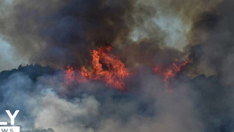 Μεγάλη φωτιά στα Βελανίδια Νέαπολης
